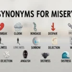 synonyms for misery