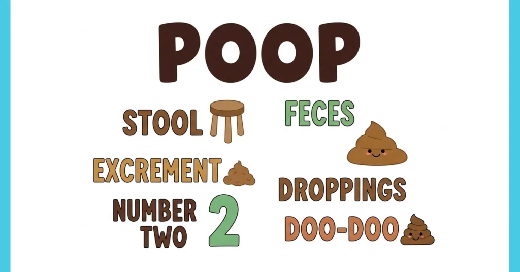 synonyms for poop