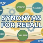 synonyms for recall