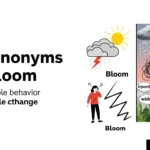 synonyms for bloom