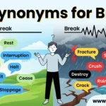 synonyms for break