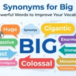 synonyms for big