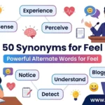 synonyms for feel